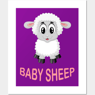 Baby sheep Posters and Art